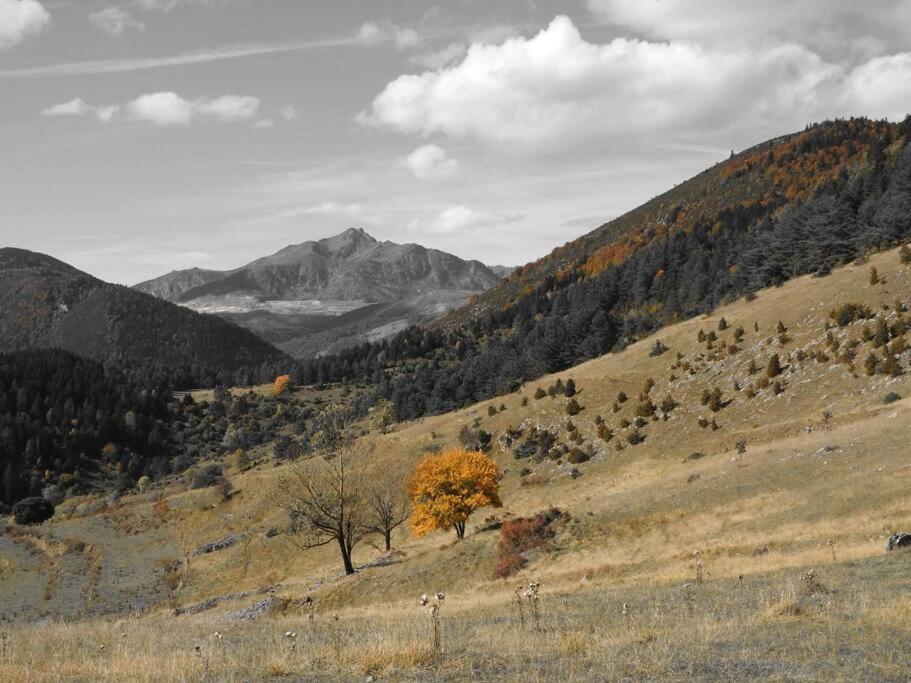 Gite L'Enclos O Rendez-Vous Roquefeuil-Pays De Sault- Avec Jardin Dış mekan fotoğraf
