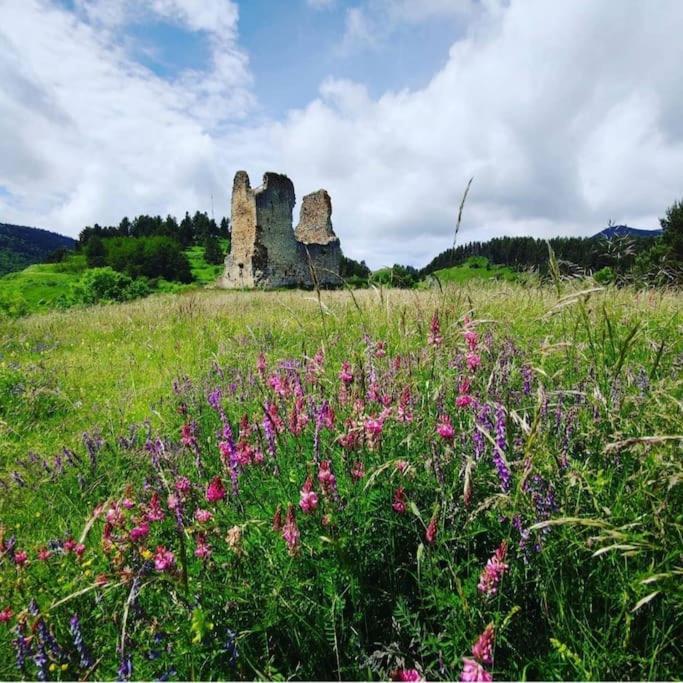 Gite L'Enclos O Rendez-Vous Roquefeuil-Pays De Sault- Avec Jardin Dış mekan fotoğraf