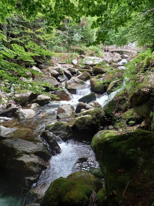Gite L'Enclos O Rendez-Vous Roquefeuil-Pays De Sault- Avec Jardin Dış mekan fotoğraf
