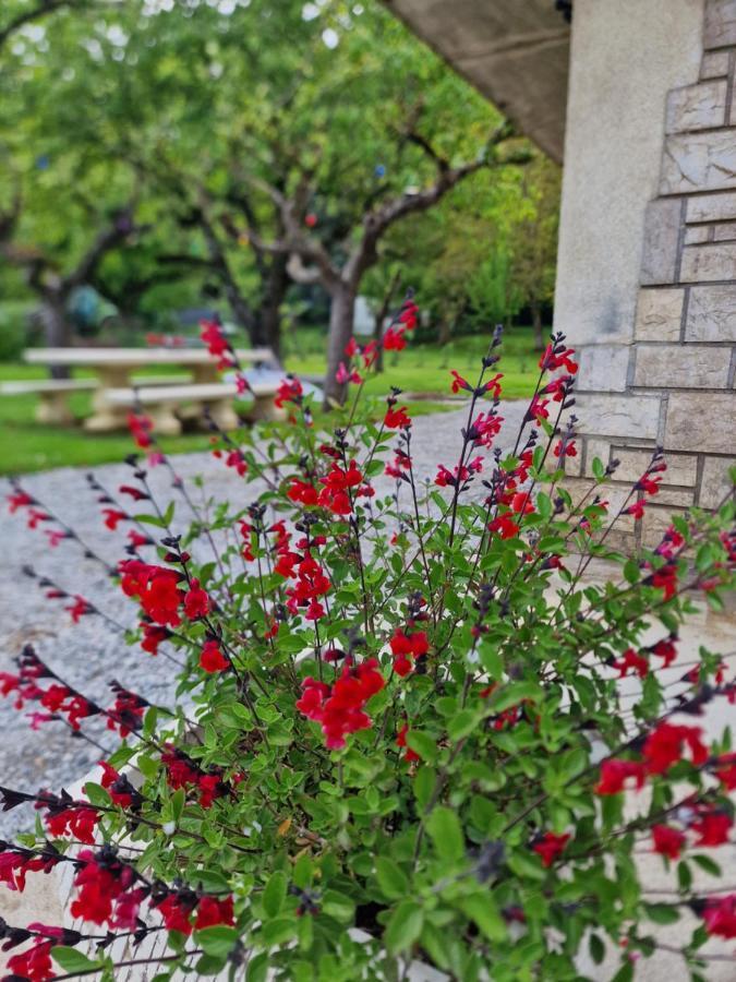 Gite L'Enclos O Rendez-Vous Roquefeuil-Pays De Sault- Avec Jardin Dış mekan fotoğraf