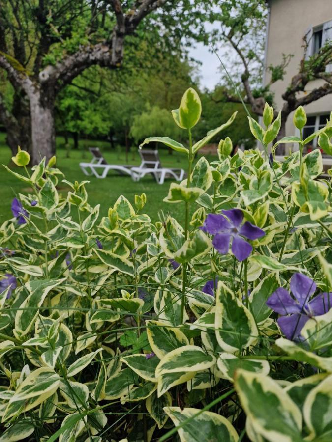Gite L'Enclos O Rendez-Vous Roquefeuil-Pays De Sault- Avec Jardin Dış mekan fotoğraf